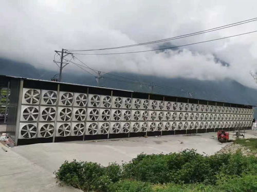 幣圈地震卻 無(wú)人傷亡 炒幣者虧100萬(wàn)也要繼續(xù)買,礦廠借私人電站挖礦