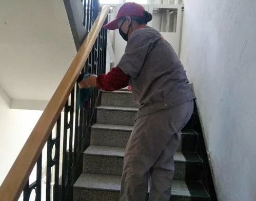 推進美麗庭院建設 提升居民幸福生活