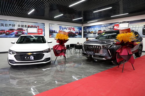 忻城汽車(chē)新地標(biāo)！青龍車(chē)行元旦盛大開(kāi)業(yè)，打造一站式汽車(chē)銷(xiāo)售綜合體